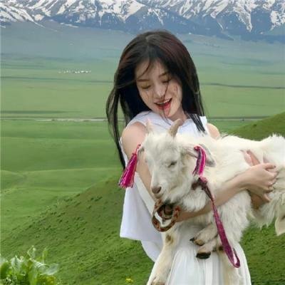春天的麻雀